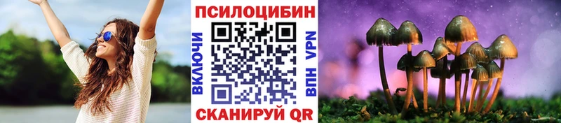 Галлюциногенные грибы мухоморы где можно купить наркотик Шенкурск