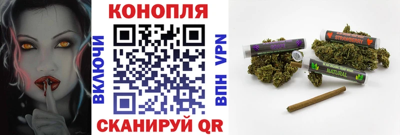 Бошки марихуана LSD WEED купить закладку Шенкурск